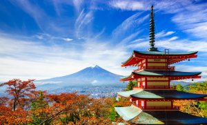 Zoom :  la littérature et le monde de l’édition au Japon