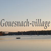 Maryse Gilbert sur le blog Gouesnach Village pour son ouvrage « Le Pavot bleu »
