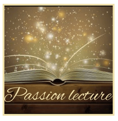 Émilie Perin sur le blog Passion Lecture pour son ouvrage « Destinée – Tome I »