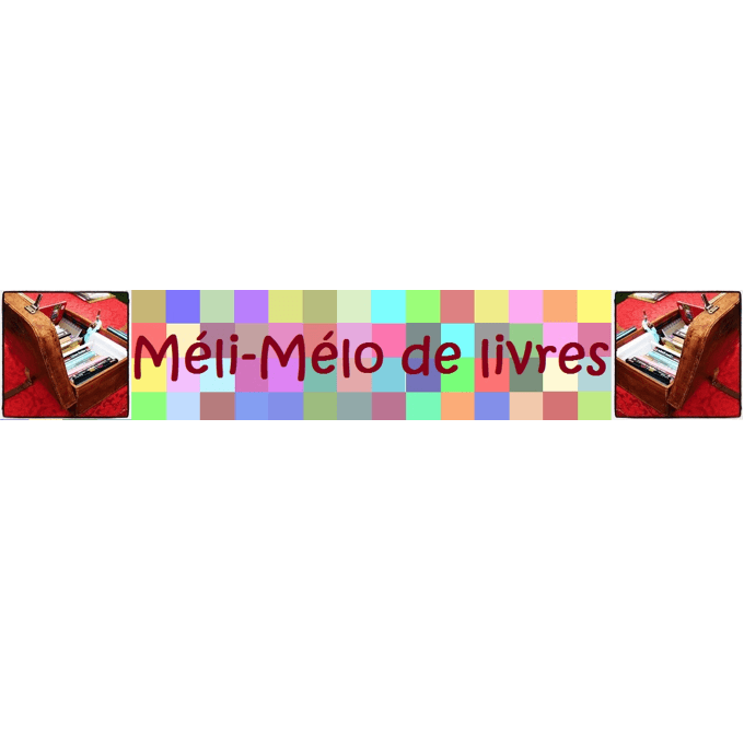 Logo_Méli Mélo de livres