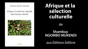 bande_annonce_afrique_et_la_selection_culturelle_Edilivre