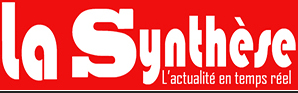 logo_La_synthèse_2017_Edilivre