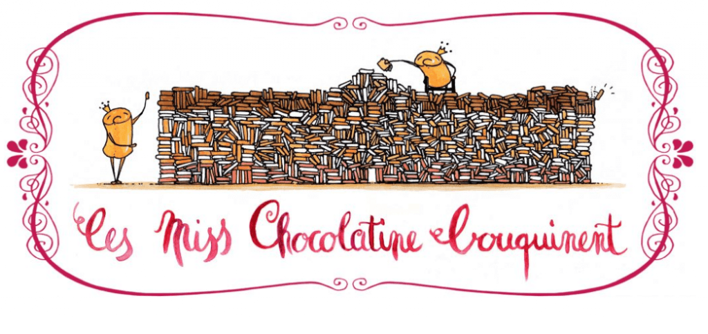 Maxime Sayer sur le blog Les Miss Chocolatine Bouquinent pour son ouvrage « Oublie que je pars et dis-toi que je reviendrai »