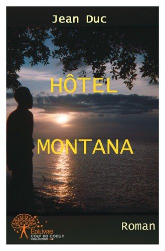 Hôtel Montana
