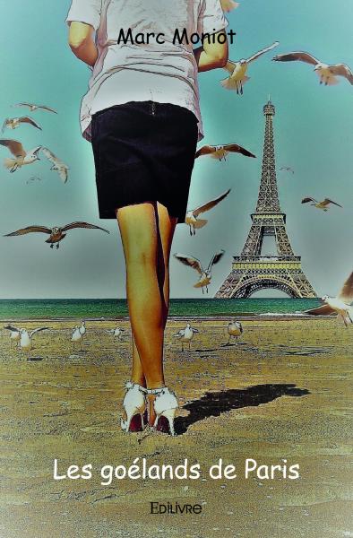 Les goélands de Paris