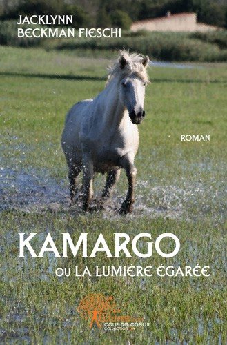 Kamargo ou la lumière égarée